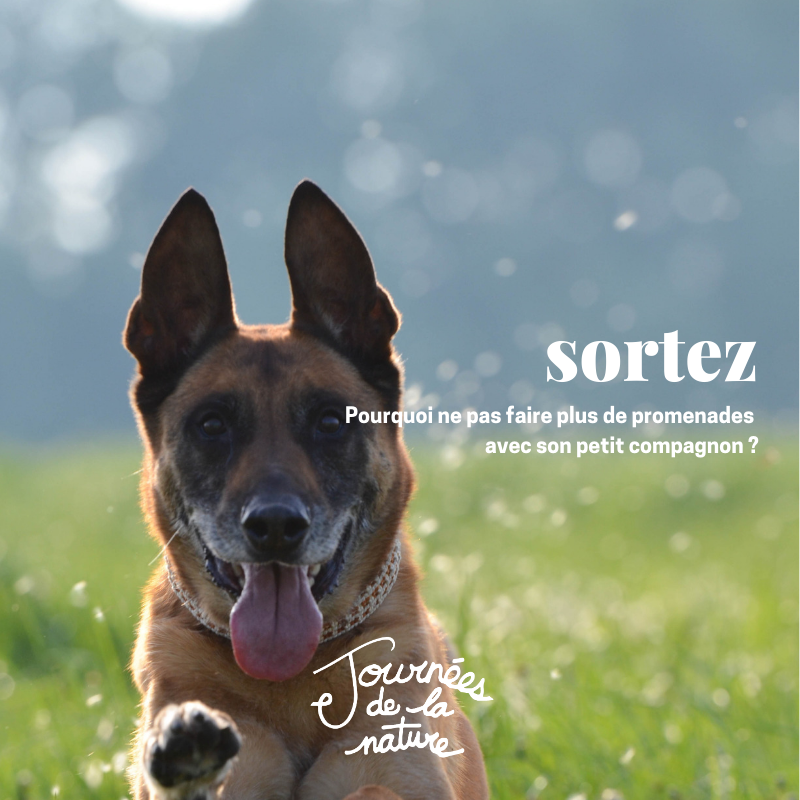 journees-de-la-nature-rncreq (26)