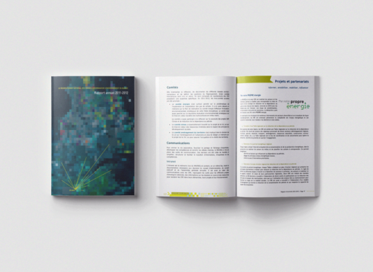 Rapport Annuel 2011-2012