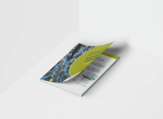 Rapport Annuel 2012-2013