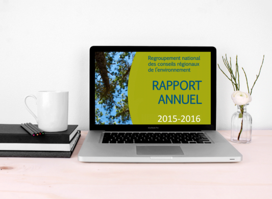 Rapport Annuel 2015-2016