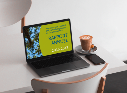 Rapport Annuel 2016-2017