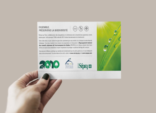 2010, année internationale de la biodiversité