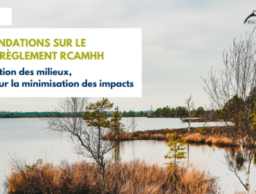 Milieux humides hydriques RCAMHH