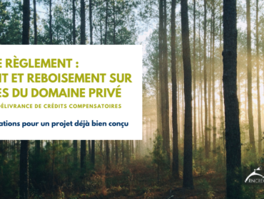 Mémoire sur le projet de Règlement quant au boisement et reboisement des terres du domaine privé