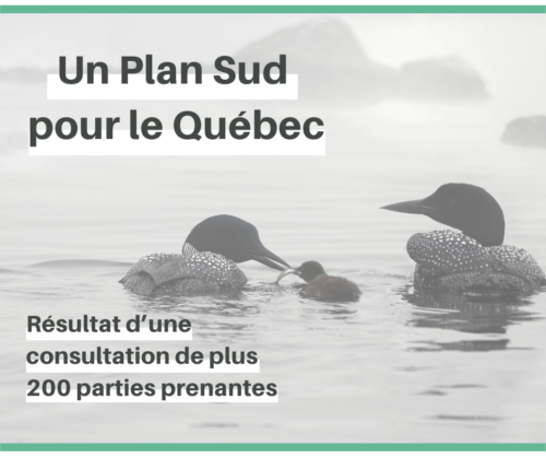 Plan Sud Québec Huards
