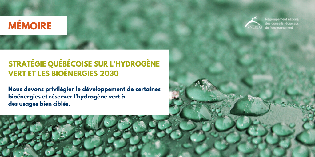 Mémoire hydrogène vert et bioénergies