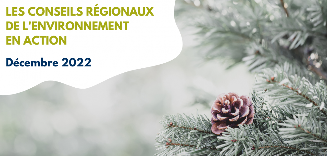 Nouvelles des CRE – Infolettre de décembre 2022