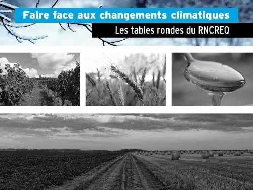 faire face aux changements climatiques conference-rncreq-tourisme-ladaptation-changements-climatiques-deja-entamee
