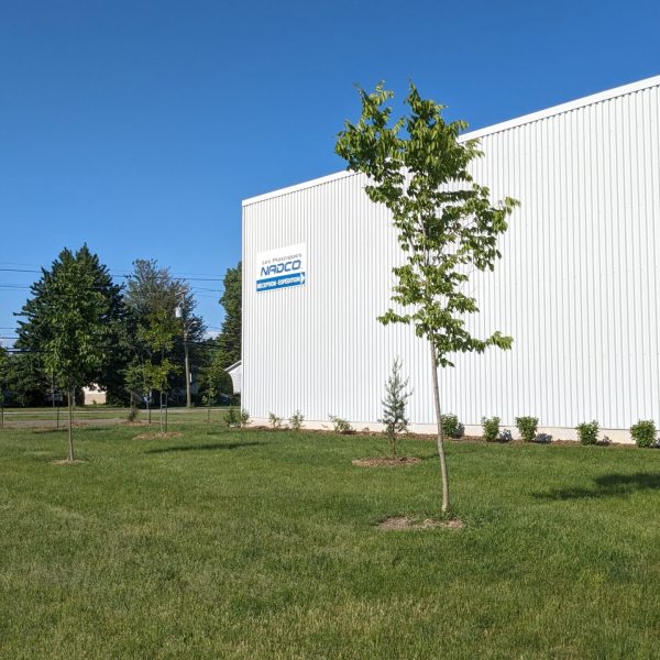 PXL_20240530_205110656