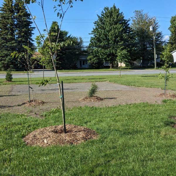 PXL_20240530_210421199