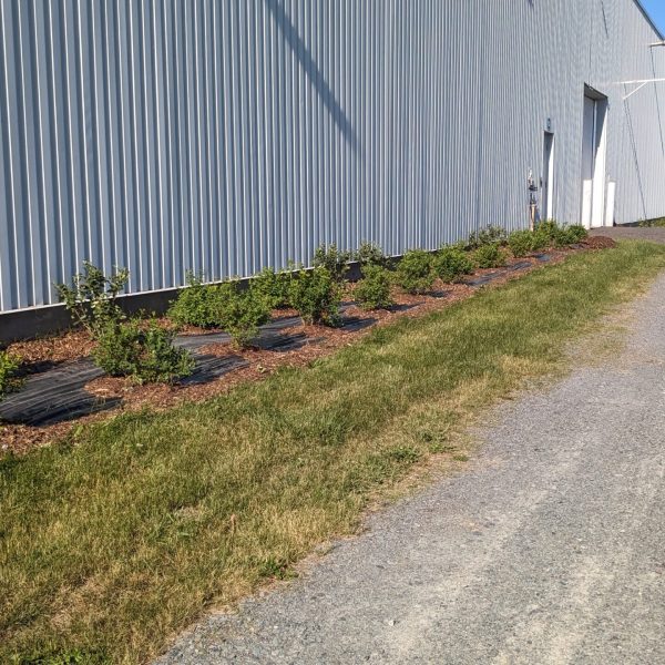 PXL_20240530_211756623