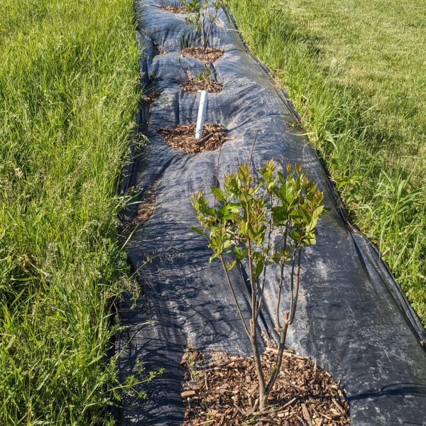 PXL_20240530_212743386