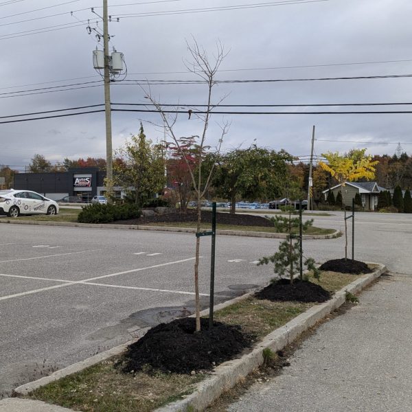 PXL_20241010_211511541