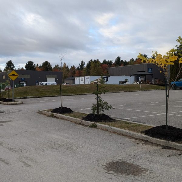 PXL_20241010_211531198