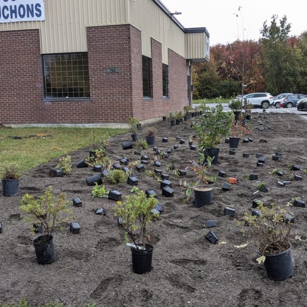 PXL_20241015_200514300