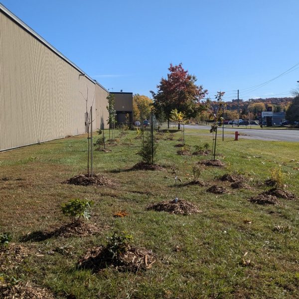 PXL_20241017_150304394