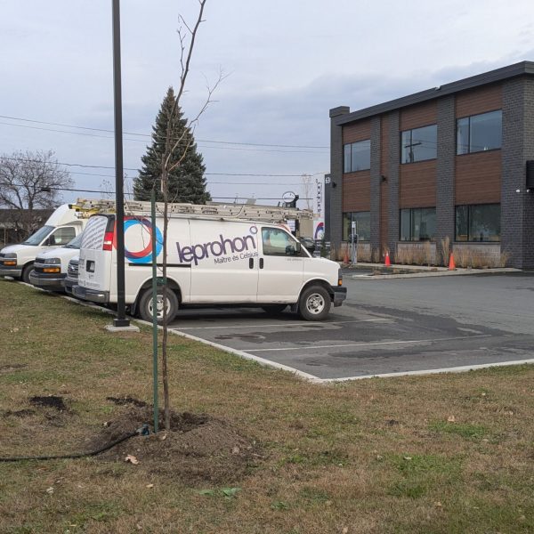 PXL_20241030_211610912