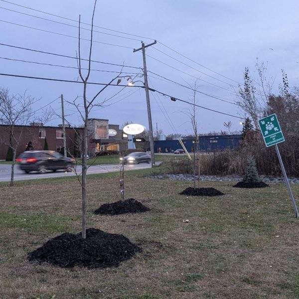 PXL_20241030_214621862