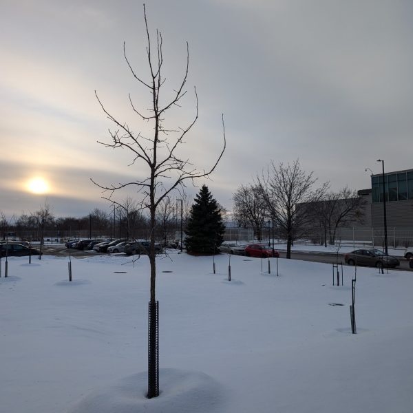 PXL_20241206_202129195