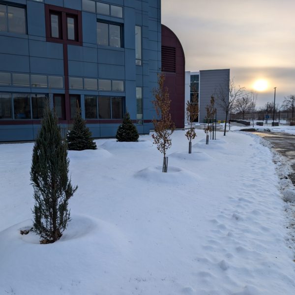 PXL_20241206_202320256
