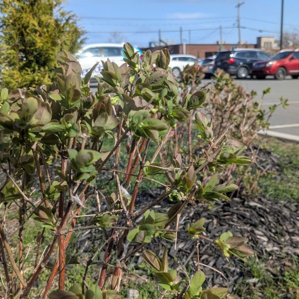 PXL_20250424_201858076