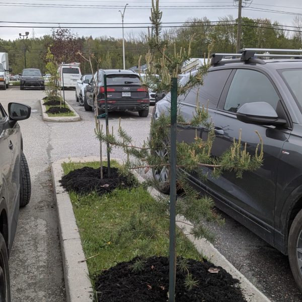 PXL_20250520_184222028