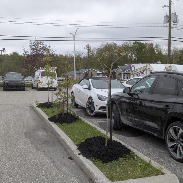 PXL_20250520_184248013