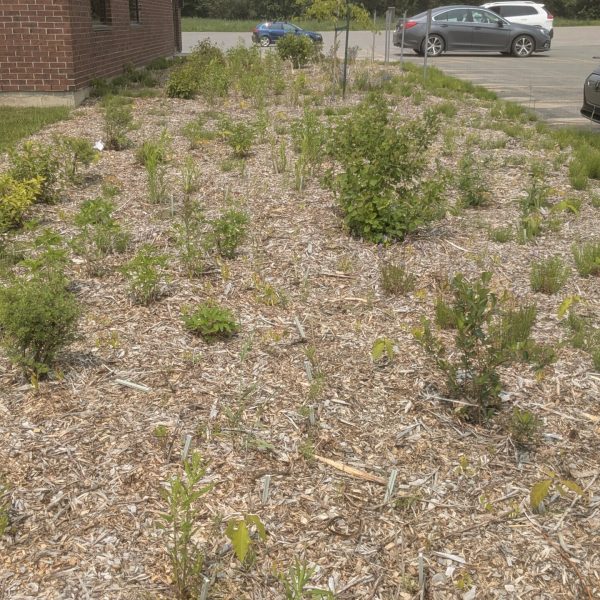 PXL_20250606_173624895