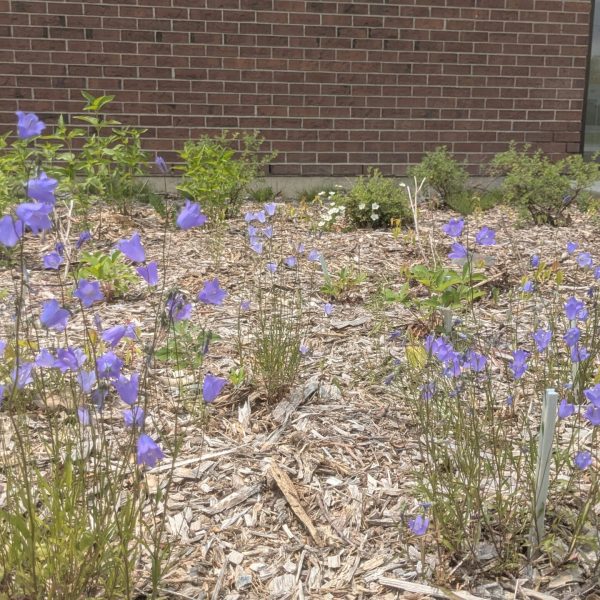 PXL_20250606_173801299