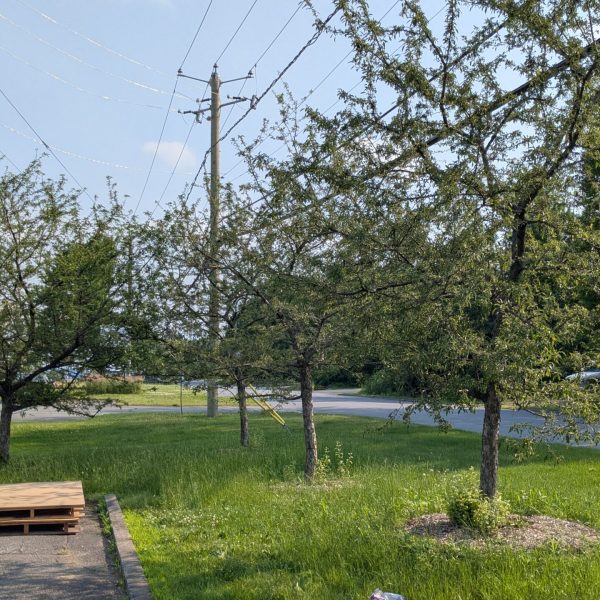 PXL_20250703_205234929